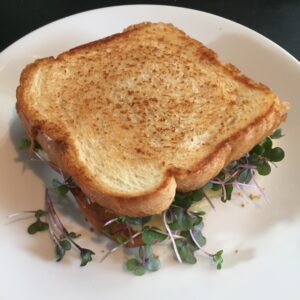 FOOD GRILLED CHEESE