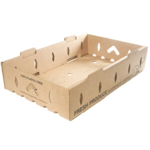 Sustainable Produce Container Master Tray 1 SAMPLE
