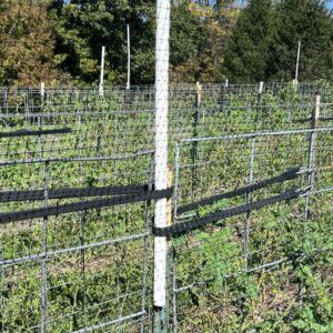 PVC pipe installed on straight length of fence between cattle panels.