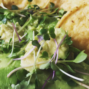 FOOD-KOHLRABI-ON-AVOCADO