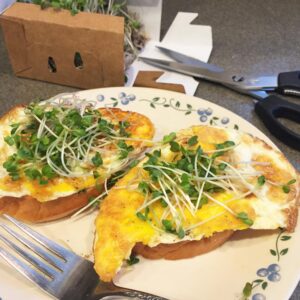 broccoli-on-eggs