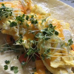 microgreens-breakfast-burrito