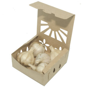 Half Pint KRAFT Sustainable Produce Container (600/case)