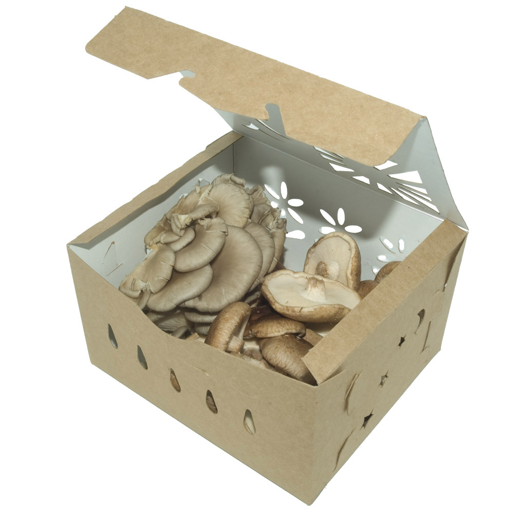 3 Quart Paper Folding Recyclable Natural Brown/White (200/case) Sustainable Produce Container