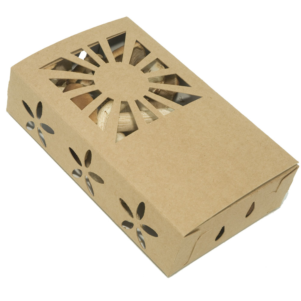 SALE 1 Pint Low Profile Pint Sustainable Biodegradable Paper Folding Produce Container OVERSTOCK Sale - 600 to a case