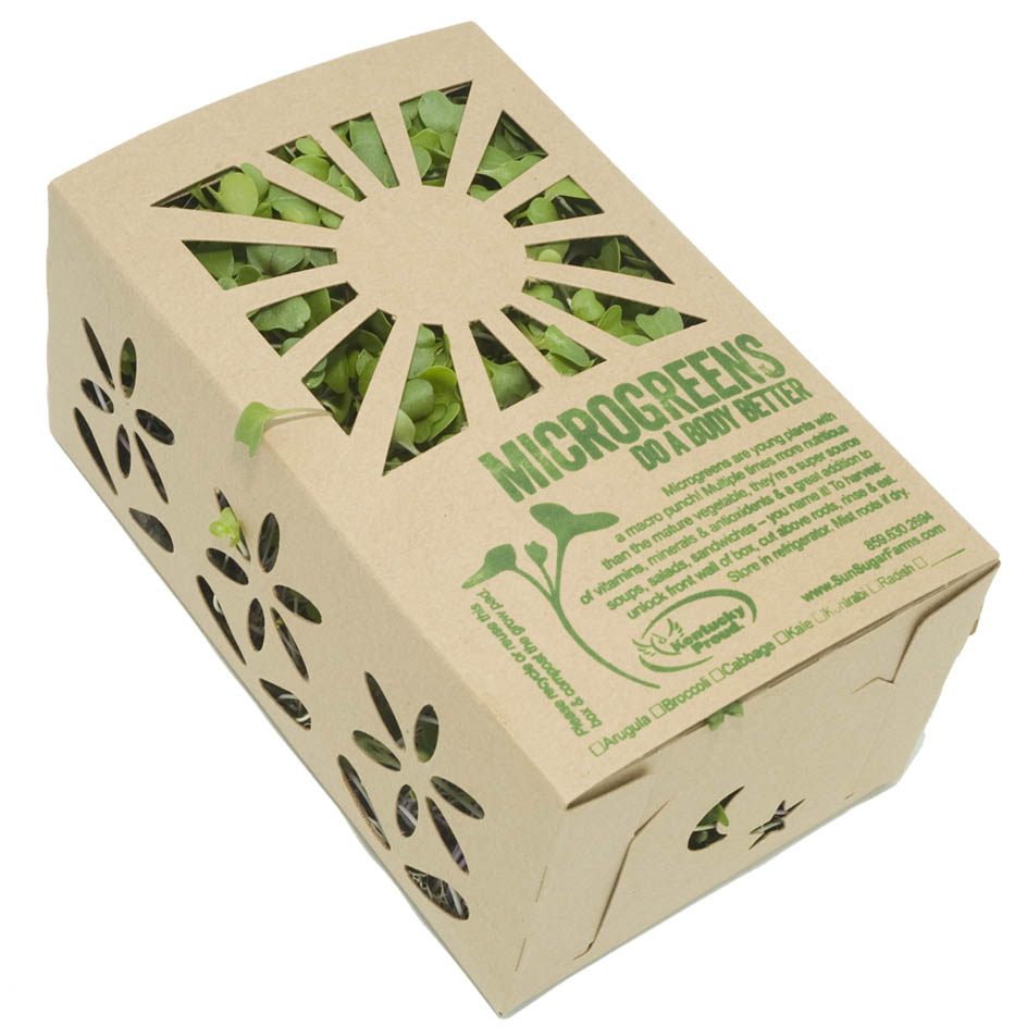 1 Quart Kraft Sustainable Biodegradable Paper Folding Produce Container (500/case)